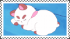 puppycat